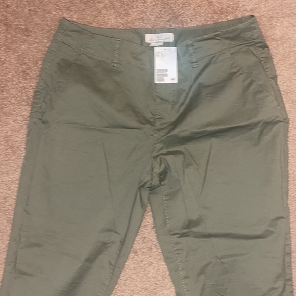 Khakis Pants Olive Green - Picture 2 of 5